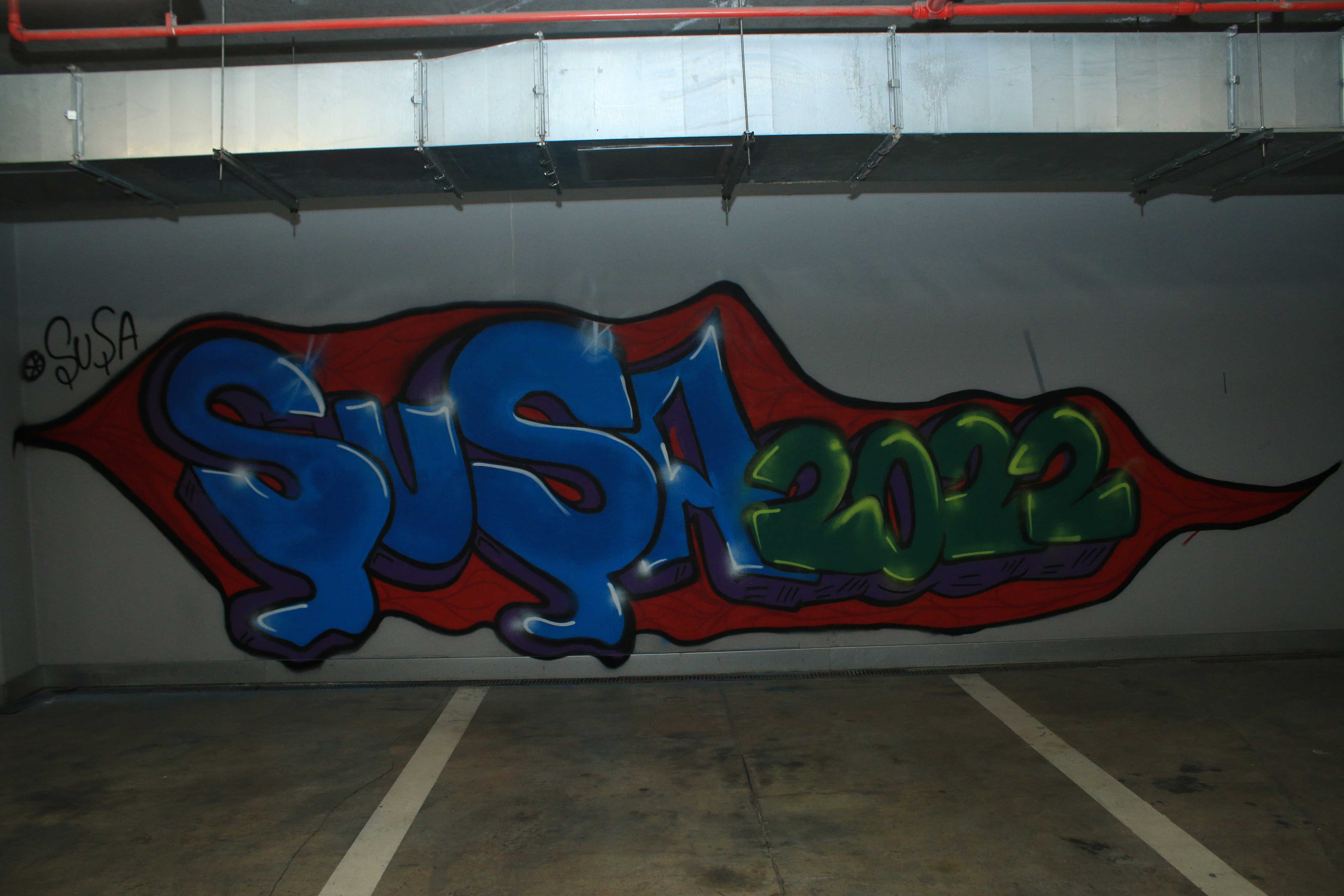 park-bulvarda-susa-graffiti-fest-kecirilib