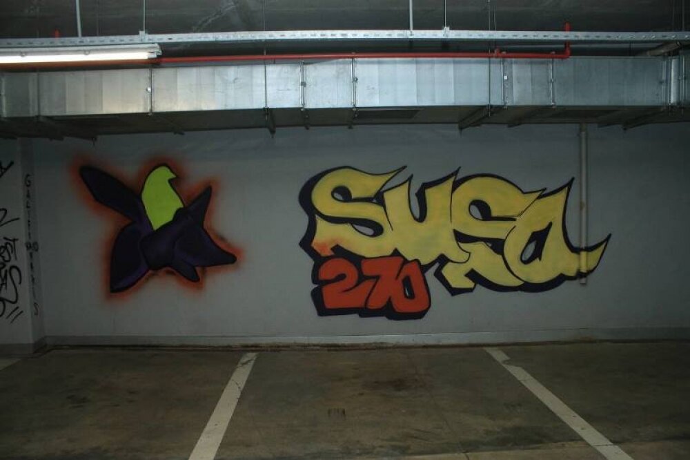 park-bulvarda-susa-graffiti-fest-kecirilib