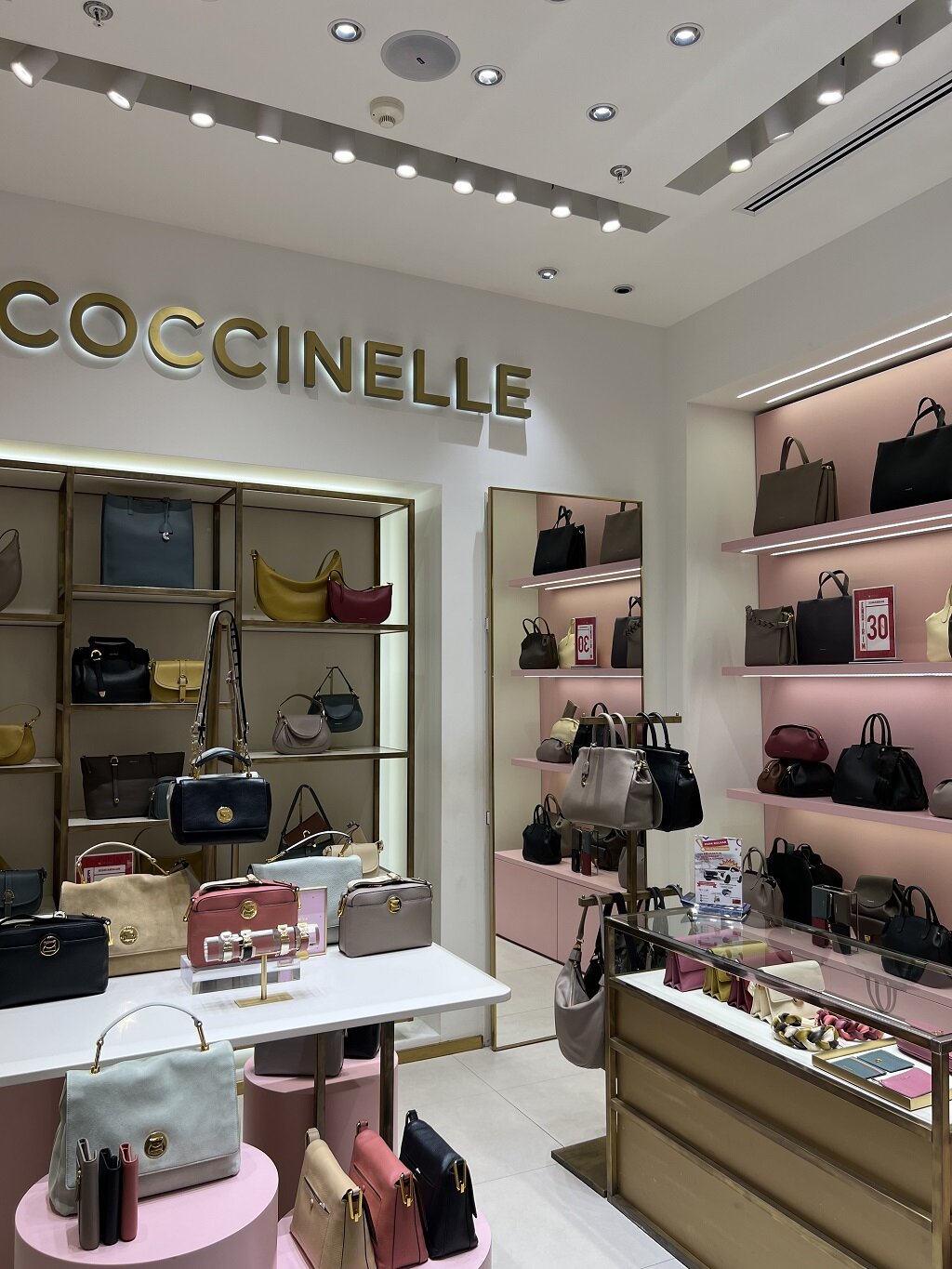 Coccinelle